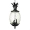 Homeroots 21 x 9.5 x 9.5 in. Lanai 3-Light Black Coral Hanging Light 398016 - alternate 1